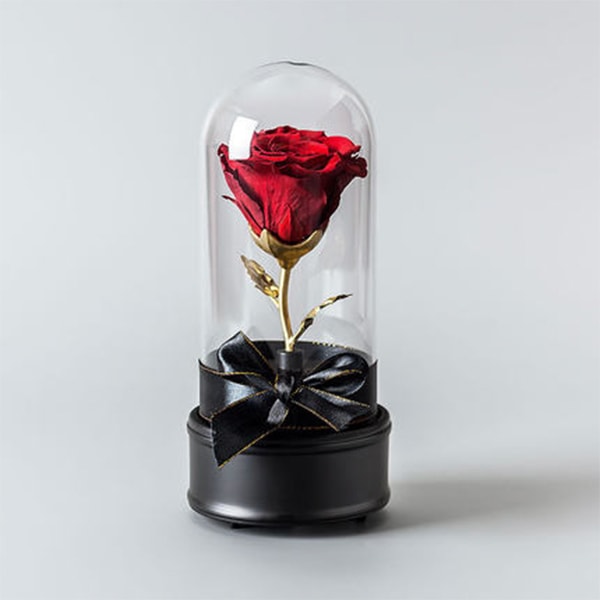 preserved rose