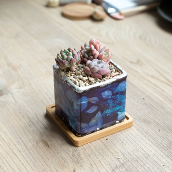product image for Colorful Cube Succulent Pot