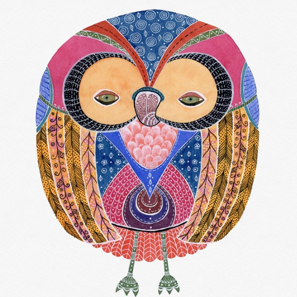 owl portraits
